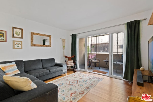 living room featuring light hardwood / wood-style floors