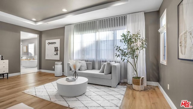 living room featuring a tray ceiling and light hardwood / wood-style flooring