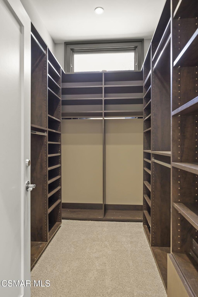 walk in closet featuring carpet floors