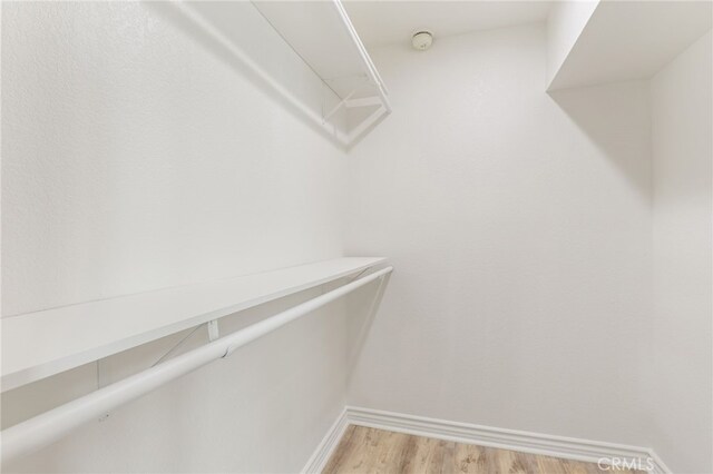 walk in closet featuring light hardwood / wood-style flooring