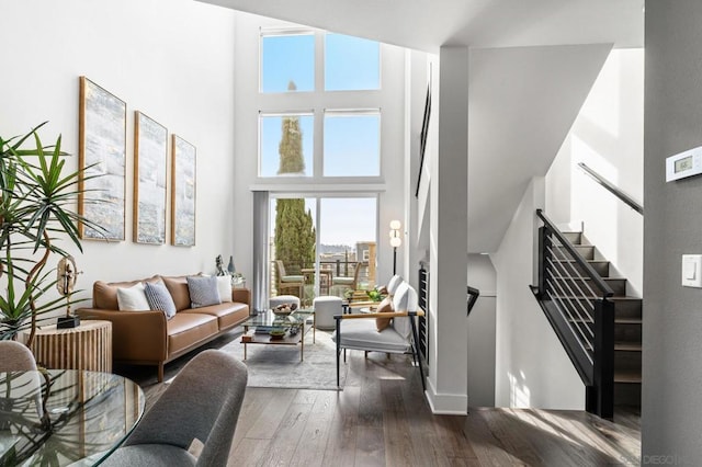 living room with a high ceiling and dark hardwood / wood-style flooring