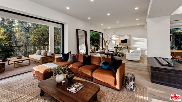 living room with light hardwood / wood-style floors and plenty of natural light