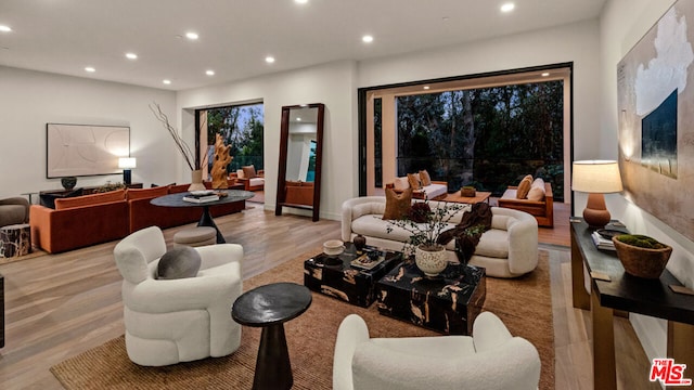 living room featuring light hardwood / wood-style floors