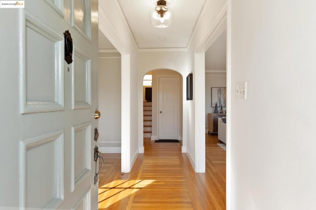 hall featuring crown molding and light hardwood / wood-style floors