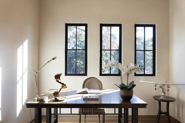 dining area with hardwood / wood-style floors