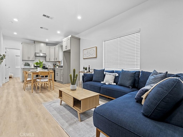 living room with light wood-type flooring