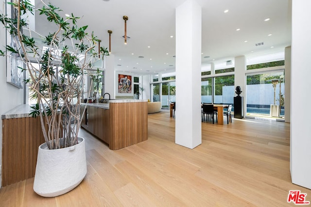 kitchen with light wood-type flooring, a healthy amount of sunlight, and a wall of windows