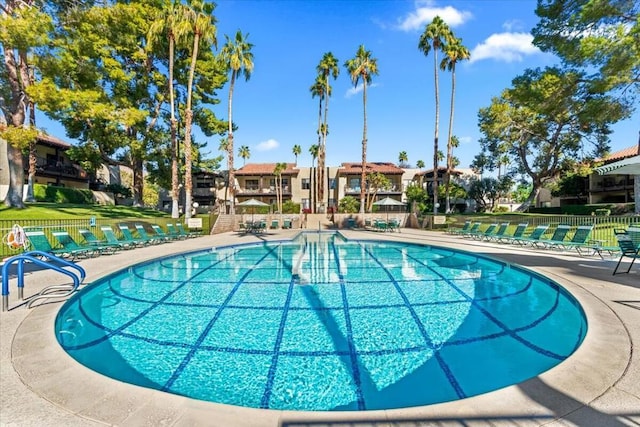 view of swimming pool featuring a patio area