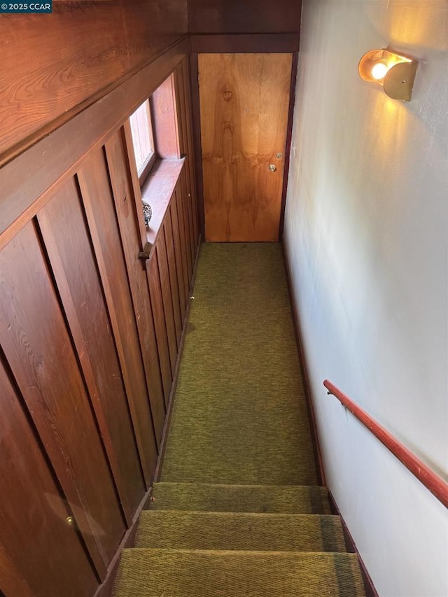 stairway featuring carpet