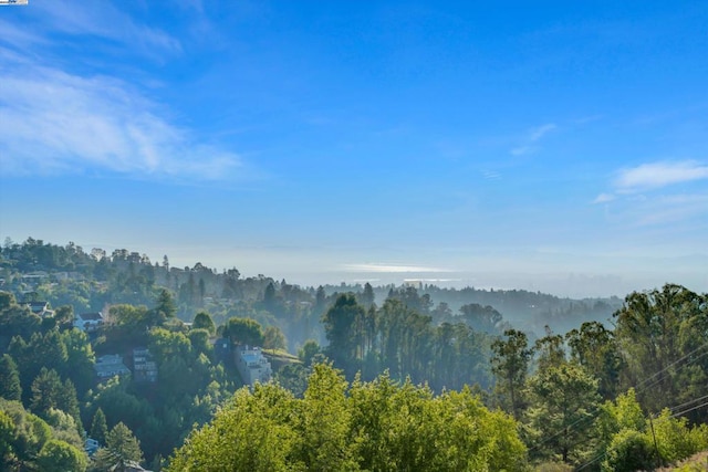 view of mountain feature