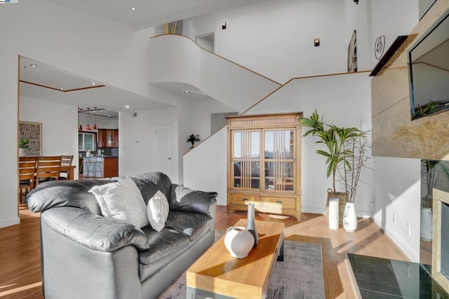 living room featuring a towering ceiling and hardwood / wood-style flooring