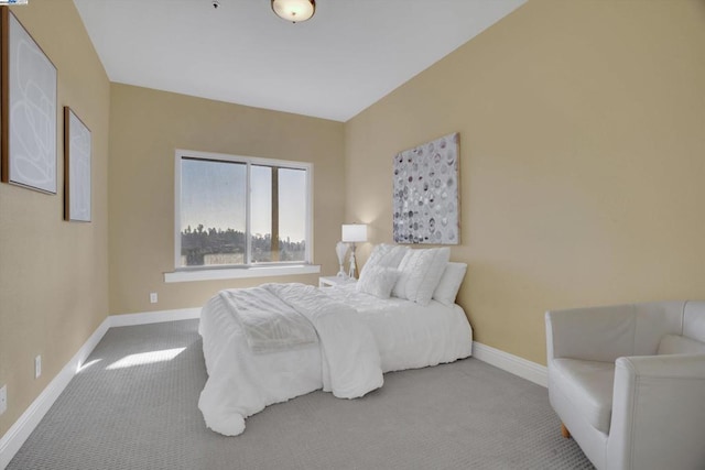 bedroom featuring carpet floors