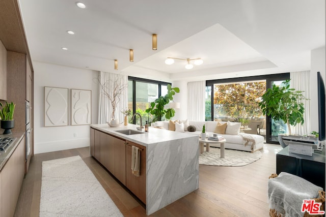 kitchen featuring light hardwood / wood-style floors, sink, a kitchen island with sink, and double wall oven