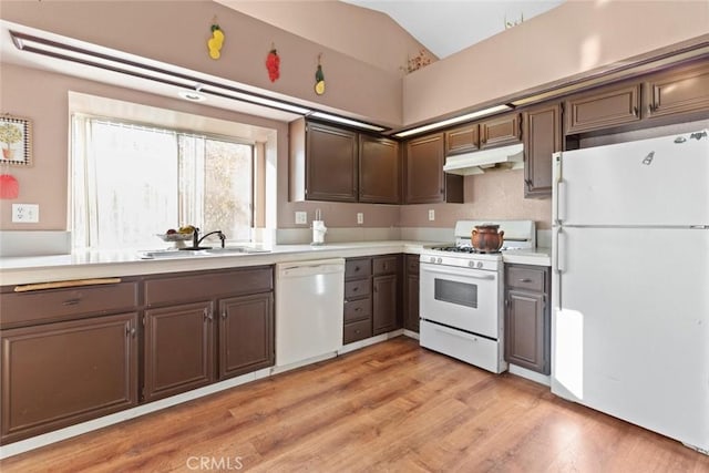 kitchen with white appliances, dark brown cabinetry, lofted ceiling, light hardwood / wood-style floors, and sink