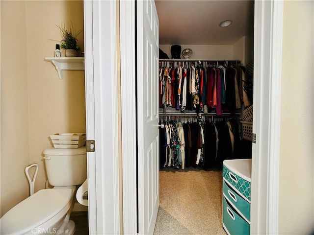 spacious closet with light carpet