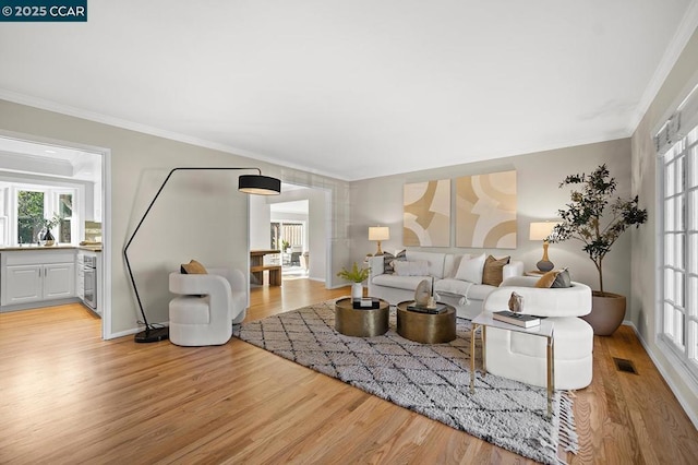 living room featuring crown molding, light hardwood / wood-style flooring, and sink