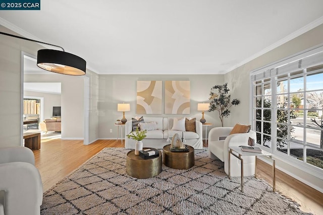 living room featuring crown molding and hardwood / wood-style floors