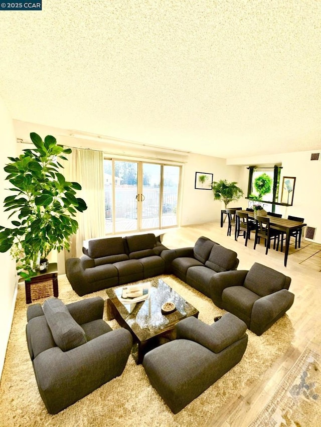 living room with wood-type flooring and a textured ceiling