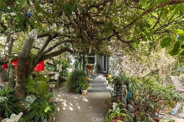 doorway to property with a patio area