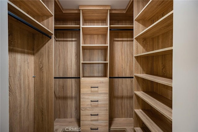 view of spacious closet