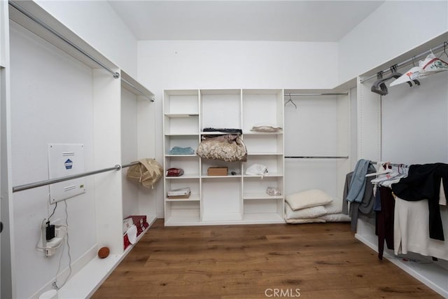 walk in closet with dark hardwood / wood-style floors