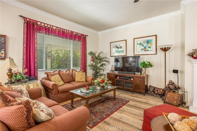 living room featuring ornamental molding and light hardwood / wood-style flooring