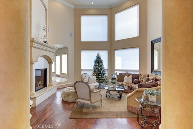 living room featuring dark hardwood / wood-style flooring, a towering ceiling, and ornamental molding