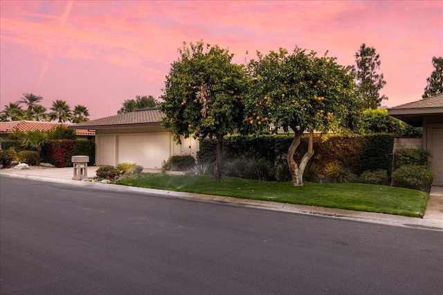 view of front of home with a garage and a yard