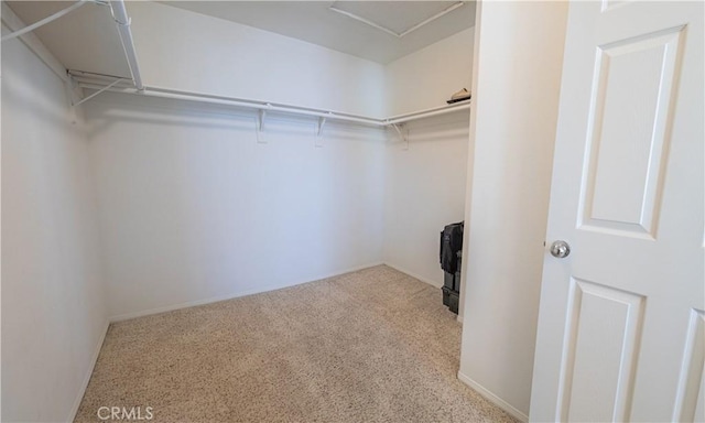 spacious closet featuring light carpet