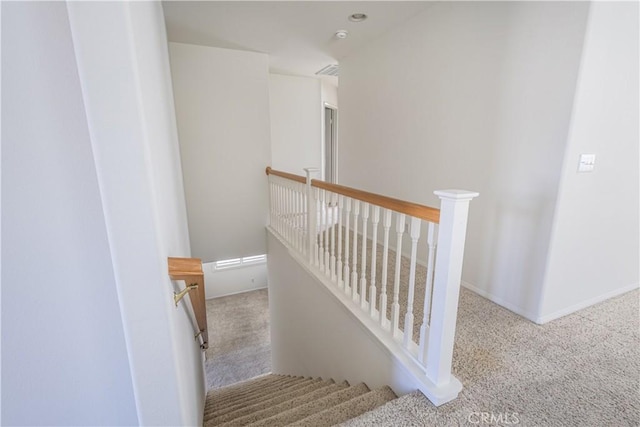 staircase featuring carpet floors