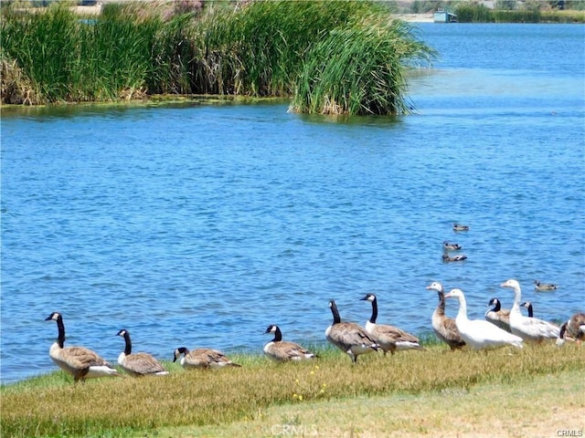 water view