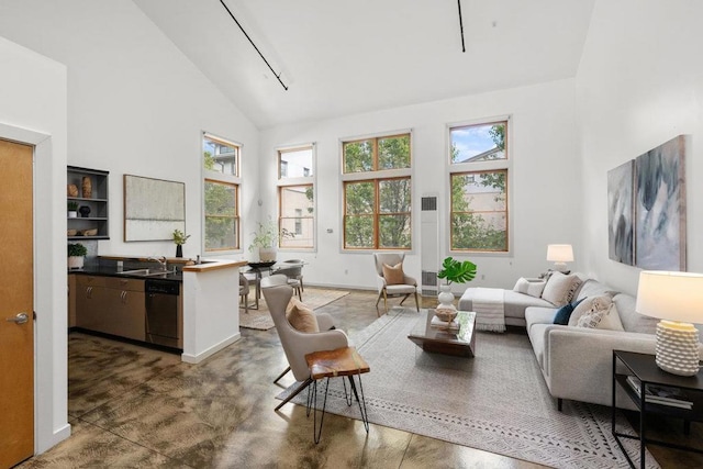 living room featuring high vaulted ceiling and sink