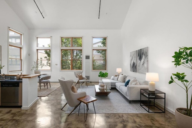 living room featuring high vaulted ceiling