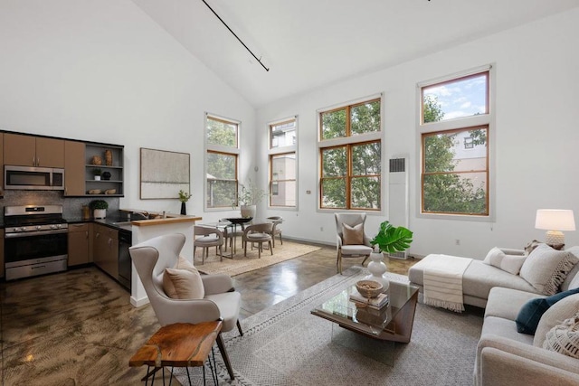 living room featuring high vaulted ceiling and sink