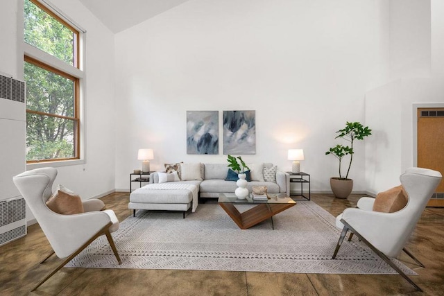 living room featuring high vaulted ceiling