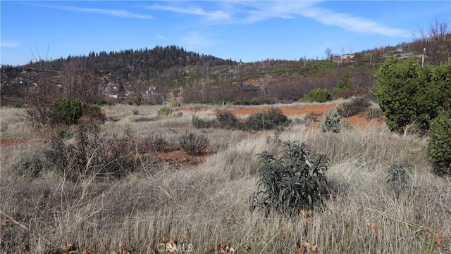 15520 Sugar Pine Dr, Cobb, CA 95426 - photo 2
