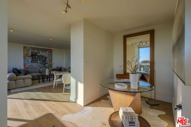 dining area with light hardwood / wood-style floors and track lighting