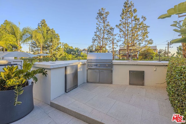 view of patio featuring area for grilling and exterior kitchen