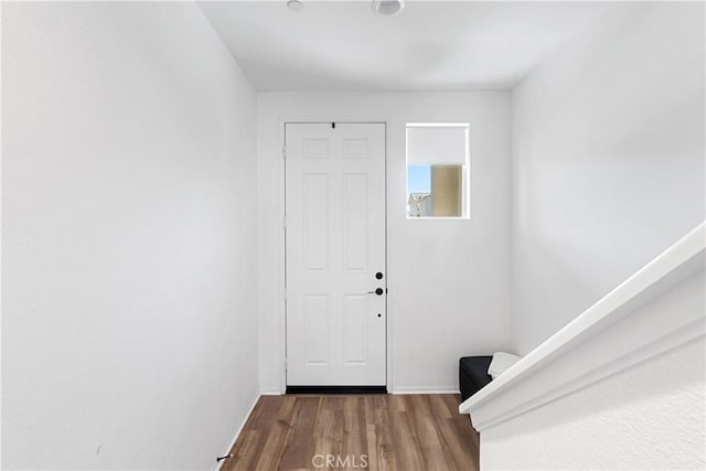 foyer with wood-type flooring