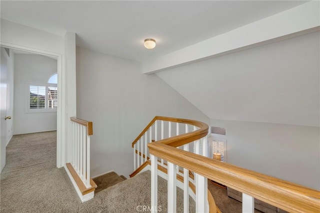 staircase with lofted ceiling with beams and carpet flooring