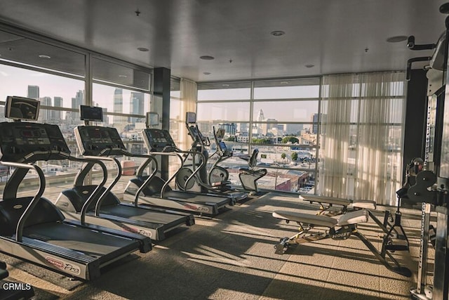 gym featuring plenty of natural light