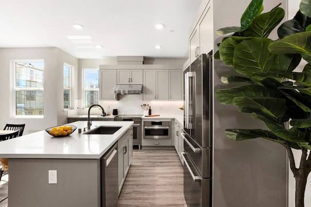 kitchen with premium appliances, tasteful backsplash, sink, light wood-type flooring, and a center island with sink