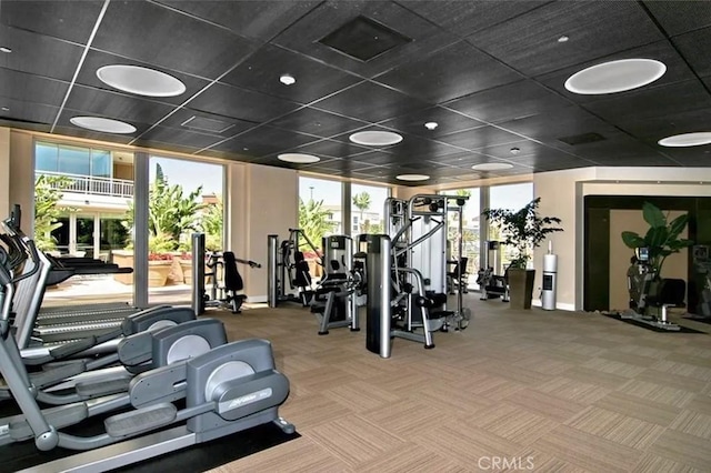 exercise room with carpet floors, a healthy amount of sunlight, and baseboards