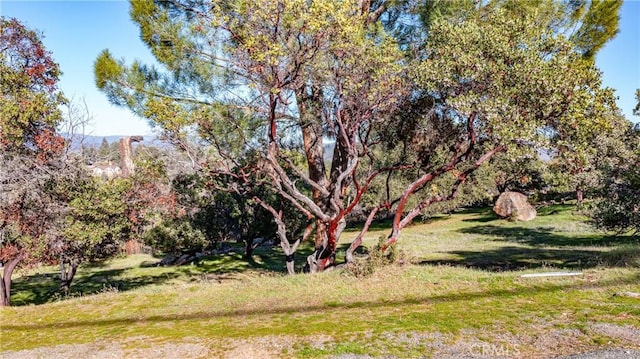 Listing photo 3 for 4587 Hawaina Way, Kelseyville CA 95451