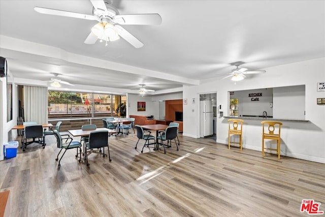 dining area with ceiling fan and light wood-type flooring