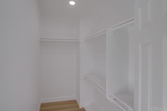 spacious closet with wood-type flooring