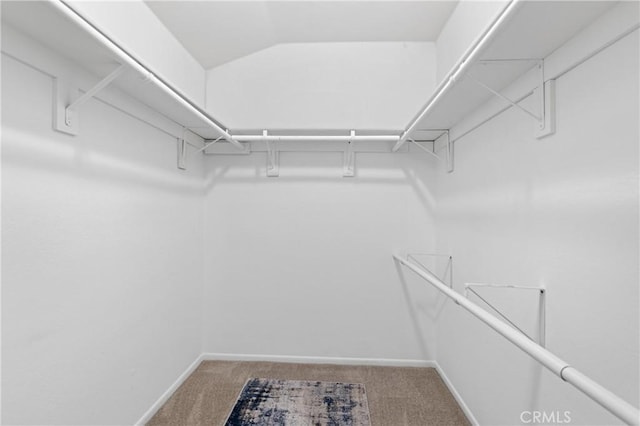 walk in closet featuring carpet and lofted ceiling