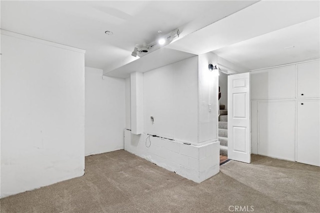 basement with light colored carpet