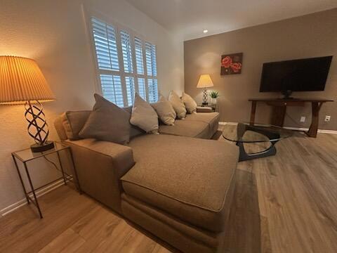 living room with wood-type flooring