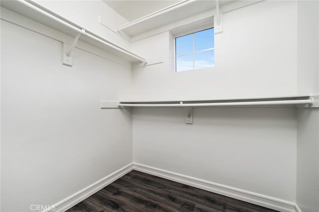 walk in closet featuring hardwood / wood-style floors